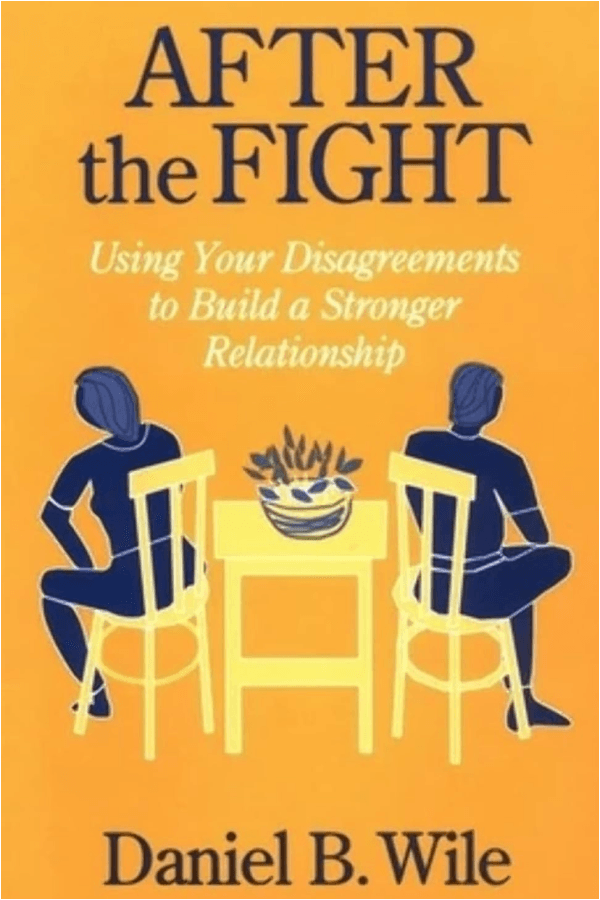 Cover of After the Fight